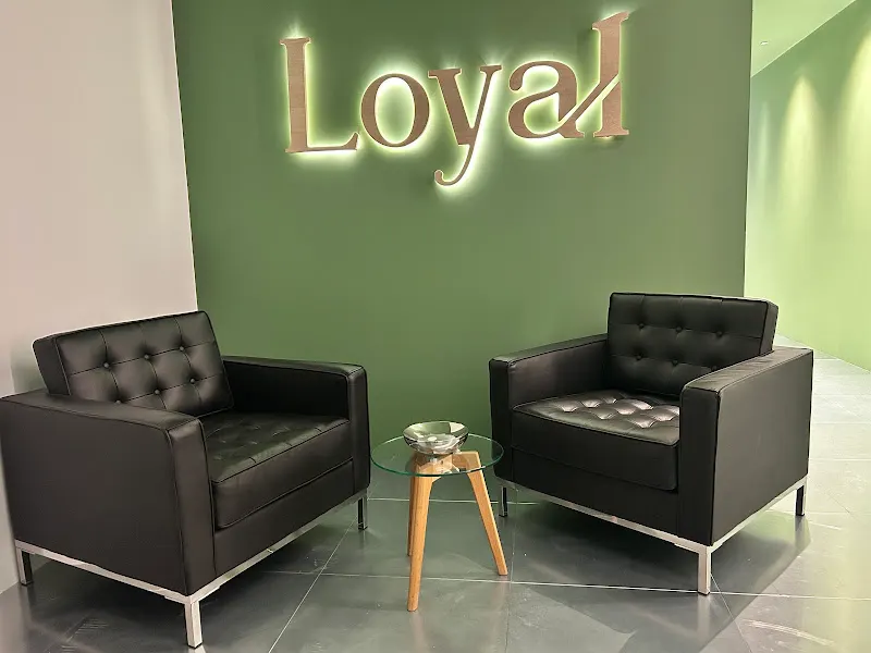Loyal Business Consulting - Asesor fiscal en Escaldes-Engordany - foto 2