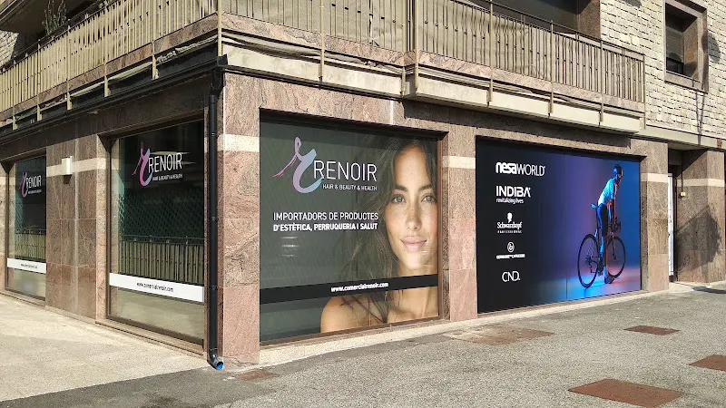 Comercial Renoir - Mayorista en Sispony - foto 2
