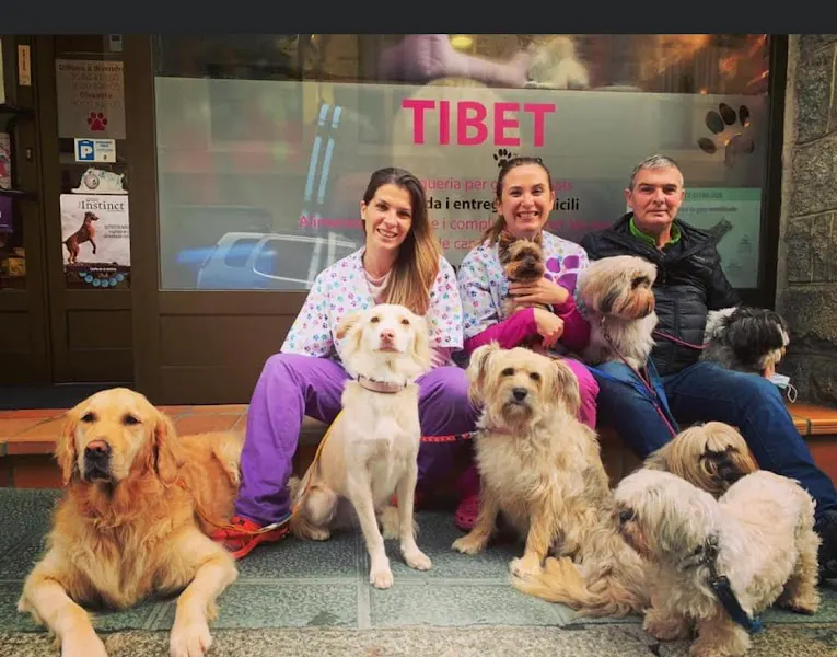 Tibet by Gerd - Tienda de animales en La Massana - foto 2